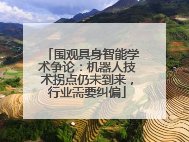 围观具身智能学术争论：机器人技术拐点仍未到来，行业需要纠偏