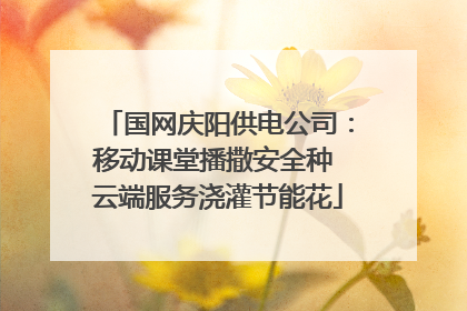 国网庆阳供电公司：移动课堂播撒安全种 云端服务浇灌节能花