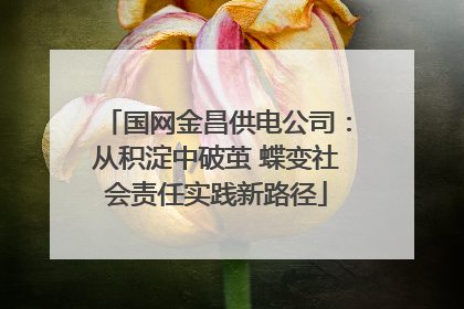 国网金昌供电公司：从积淀中破茧 蝶变社会责任实践新路径