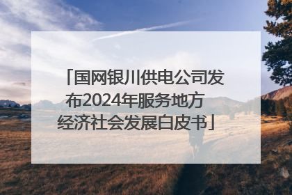 国网银川供电公司发布2024年服务地方经济社会发展白皮书
