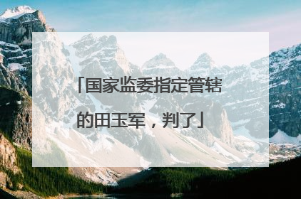 国家监委指定管辖的田玉军，判了