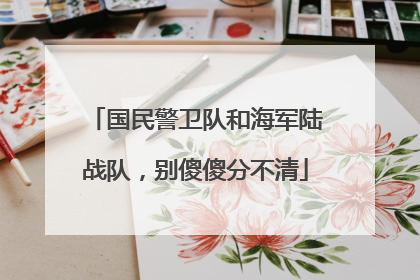 国民警卫队和海军陆战队，别傻傻分不清