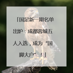 国足新一期名单出炉：成都蓉城五人入选，成为“国脚大户”！