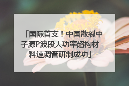 国际首支！中国散裂中子源P波段大功率超构材料速调管研制成功