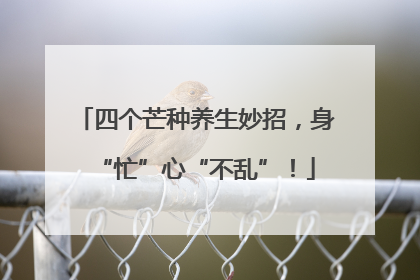 四个芒种养生妙招，身“忙”心“不乱”！