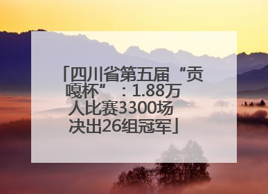 四川省第五届“贡嘎杯”：1.88万人比赛3300场 决出26组冠军