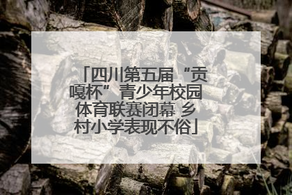 四川第五届“贡嘎杯”青少年校园体育联赛闭幕 乡村小学表现不俗