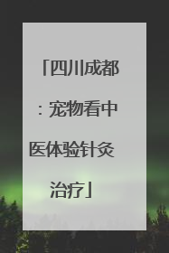 四川成都：宠物看中医体验针灸治疗