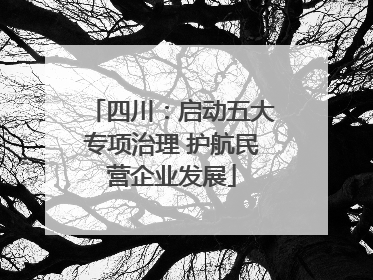 四川：启动五大专项治理 护航民营企业发展