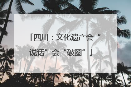 四川：文化遗产会“说话”会“破圈”