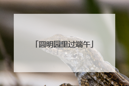 圆明园里过端午