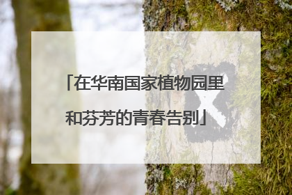 在华南国家植物园里和芬芳的青春告别