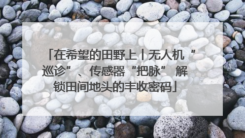 在希望的田野上丨无人机“巡诊”、传感器“把脉” 解锁田间地头的丰收密码