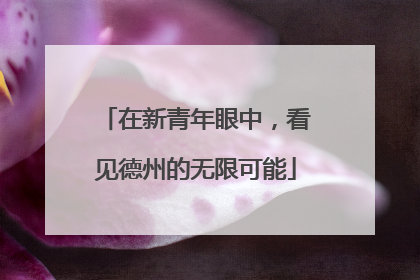在新青年眼中，看见德州的无限可能