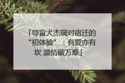 导盲犬杰瑞对宿迁的“初体验”：有爱亦有坎 温情破万难