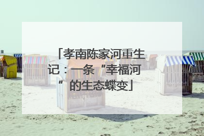 孝南陈家河重生记：一条“幸福河”的生态蝶变