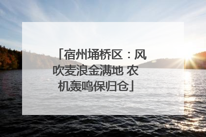 宿州埇桥区：风吹麦浪金满地 农机轰鸣保归仓