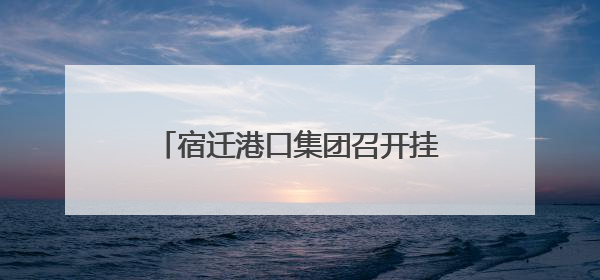 宿迁港口集团召开挂职干部交流座谈会