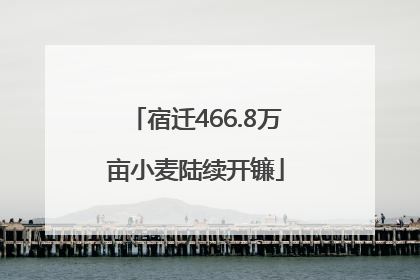 宿迁466.8万亩小麦陆续开镰