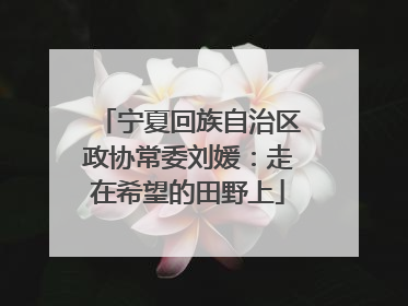 宁夏回族自治区政协常委刘媛：走在希望的田野上