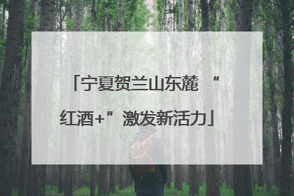 宁夏贺兰山东麓 “红酒+”激发新活力