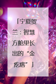 宁夏贺兰：智慧方舱里长出的“金疙瘩”