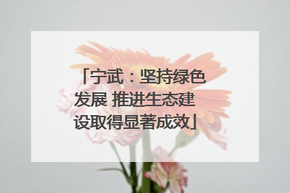 宁武：坚持绿色发展 推进生态建设取得显著成效
