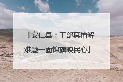 安仁县：干部真情解难题一面锦旗映民心