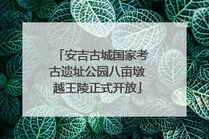 安吉古城国家考古遗址公园八亩墩越王陵正式开放