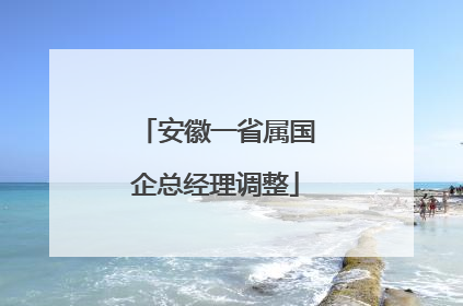 安徽一省属国企总经理调整