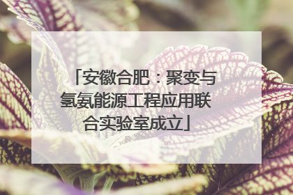 安徽合肥：聚变与氢氨能源工程应用联合实验室成立