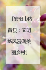 安阳市内黄县：文明新风浸润美丽乡村