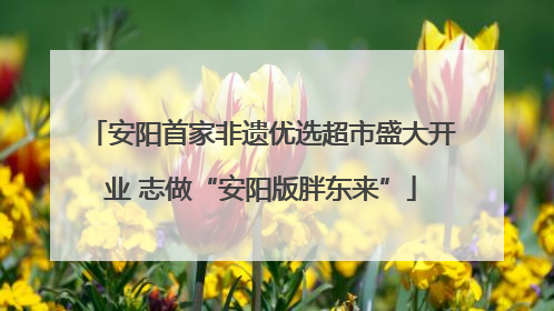 安阳首家非遗优选超市盛大开业 志做“安阳版胖东来”