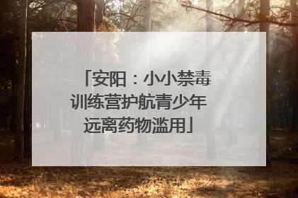 安阳：小小禁毒训练营护航青少年远离药物滥用