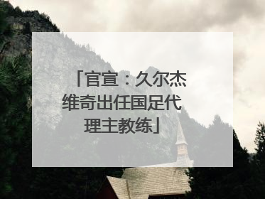 官宣：久尔杰维奇出任国足代理主教练