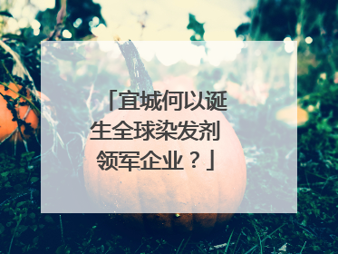 宜城何以诞生全球染发剂领军企业？