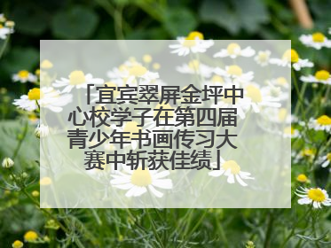 宜宾翠屏金坪中心校学子在第四届青少年书画传习大赛中斩获佳绩