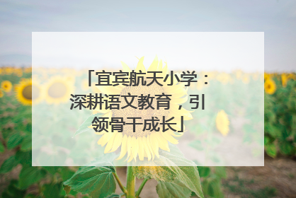宜宾航天小学：深耕语文教育，引领骨干成长