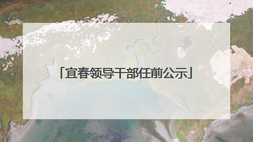 宜春领导干部任前公示