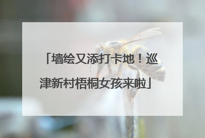 墙绘又添打卡地！巡津新村梧桐女孩来啦