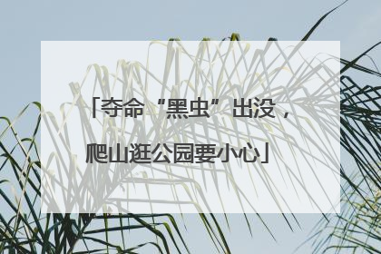 夺命“黑虫”出没，爬山逛公园要小心