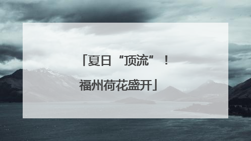 夏日“顶流”！福州荷花盛开
