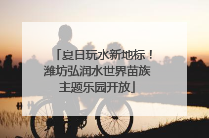 夏日玩水新地标！潍坊弘润水世界苗族主题乐园开放