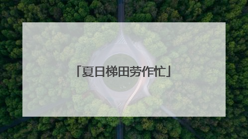 夏日梯田劳作忙