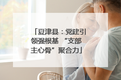 夏津县：党建引领强根基 “支部主心骨”聚合力
