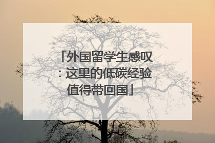 外国留学生感叹：这里的低碳经验值得带回国