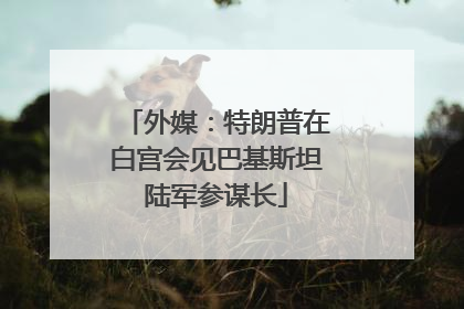 外媒：特朗普在白宫会见巴基斯坦陆军参谋长