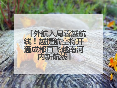 外航入局蓉越航线！越捷航空将开通成都直飞越南河内新航线