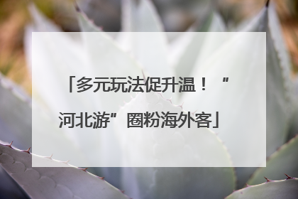 多元玩法促升温！“河北游”圈粉海外客