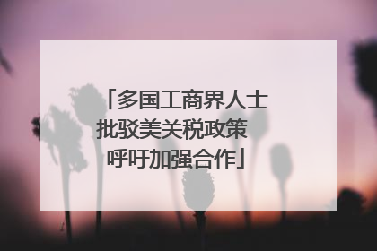 多国工商界人士批驳美关税政策 呼吁加强合作